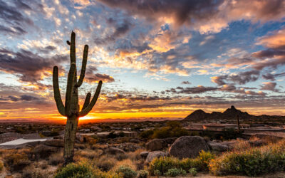 The Ultimate Guide to Arizona Estate Planning in 2024